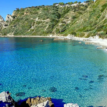 Lejlighed 1 Bedroom Awesome In *