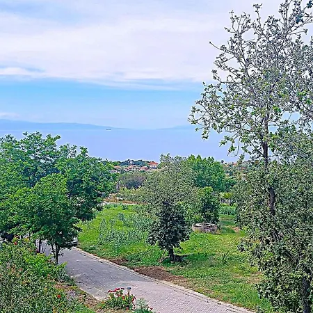 1 Bedroom Awesome In Ricadi